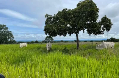 Fazenda a venda em mato grosso boa de água com 1.000 hectares.