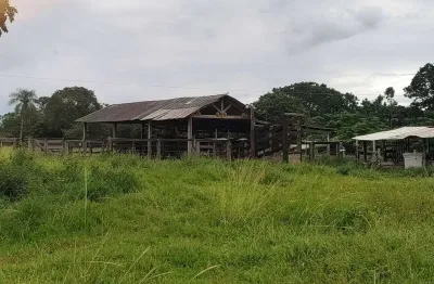 Imóvel à venda propriedade rural - ns de livramento - 54 km de cuiabá