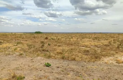 Oportunidade fazenda em campo verde mato grosso de 1300 hectares