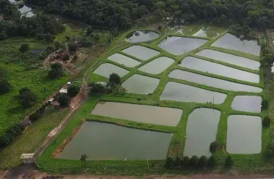 Chácara / sítio à venda na Zona Rural, Nova Olímpia 