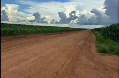 Area agricola de 200 hectares na região de sorriso disponivel para venda