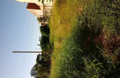 Chácara com 23 hectares, arável, casa antiga, muito verde e lagoa em glorinha..