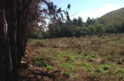 Terreno comercial à venda na Estrada Santa Catarina, 4515, Cézar de Souza, Mogi das Cruzes