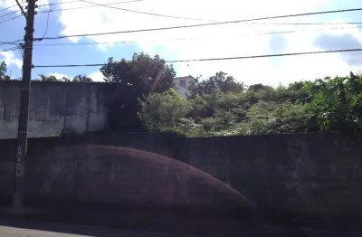 Terreno comercial à venda na Rua Mariana Najar, Vila Oliveira, Mogi das Cruzes