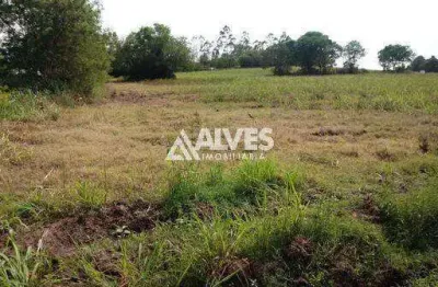 Terreno em são josé com 10.890 m2 2,5 tarefas  2o de frente x 500