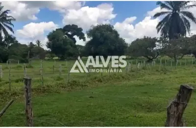 Fazenda à venda na Zona Rural, Serra Preta 