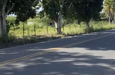 Área com 60 tarefas no distrito de jaiba próximo ao bairro sim