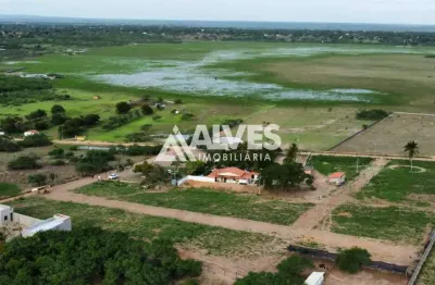 Terreno à venda na Avenida Antônio Carlos Sampaio Marques, Papagaio, Feira de Santana