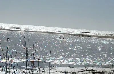 Terrenos no município de  Tavares no RS as margens da Lagoa dos Patos