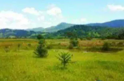 Terreno à venda, 3000 m² por r$ 320.000 - cervo - pouso alegre/mg