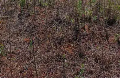 Terreno à venda, 360 m² por r$ 190.000 - residencial santa branca - pouso alegre/mg