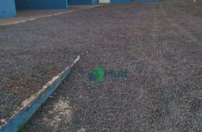 Terreno com benfeitorias para alugar, 1000 m² - jardim palma travassos - ribeirão preto/sp