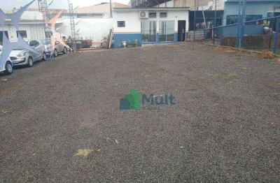 Terreno com benfeitoria para alugar, 500 m² - jardim palma travassos - ribeirão preto/sp