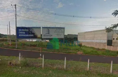 Terreno para alugar, 750 m² por r$ 15.594,00/mês - jardim manoel penna - ribeirão preto/sp