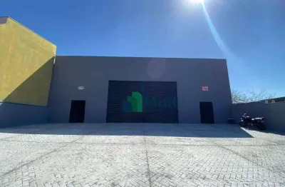 Galpão para alugar, 375 m² - ipiranga - ribeirão preto/sp