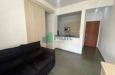 Apartamento para aluguel, 1 quarto(s),  Vila Amélia, Ribeirao Preto - AP6991