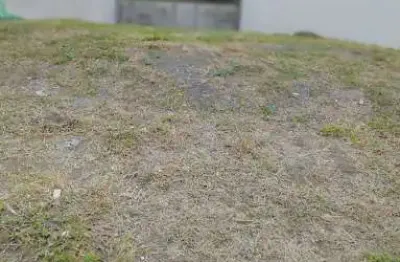 Terreno à venda, 300 m² por r$ 450.000,00 - jardins di roma - indaiatuba/sp