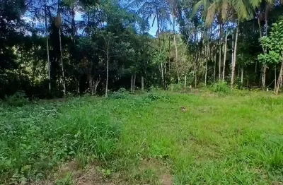 Terreno à venda na Zona Rural, São João do Itaperiú 