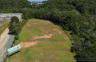 Amplo Terreno Pronto para Construção ou Investimento em Excelente Localização