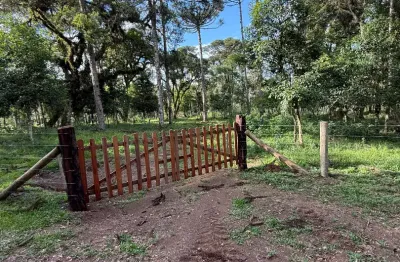 3 Chácaras/Terrenos Prontos para Construir em Campo Alegre