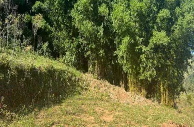 Terreno à venda, 24200 m² por r$ 1.000.000 - toró - bragança paulista/sp