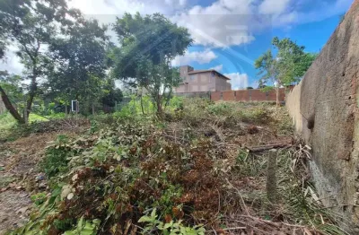 Terreno à venda na Avenida Los Angeles Qd E, 18, Araçagy, São José de Ribamar