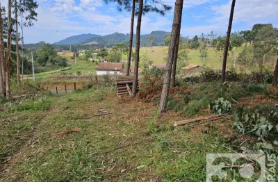 Chácara / sítio à venda no Bateias de Baixo, Campo Alegre 