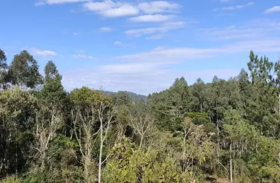 Chácara para venda em campo alegre, bateias de baixo