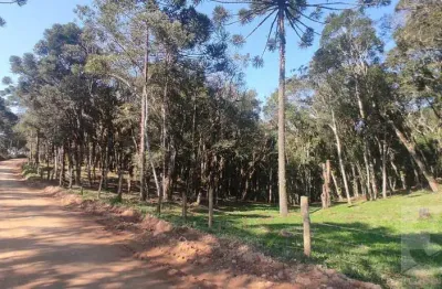 Chácara / sítio à venda no Saltinho, Campo Alegre 