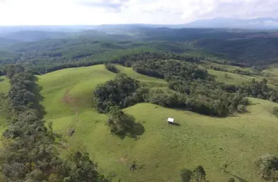 Chácara / sítio à venda no Cubatão, Campo Alegre 