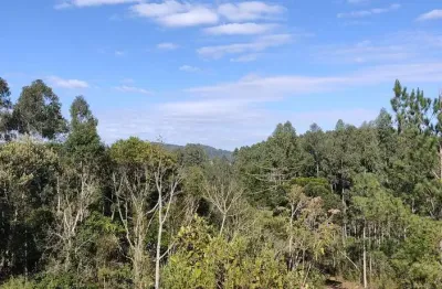 Chácara / sítio à venda na Sc 110, s/n, Santo Antônio, Campo Alegre