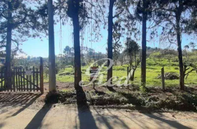 Terreno à venda, 9500 m² por r$ 1.140.000,00 - chácaras ceres - suzano/sp