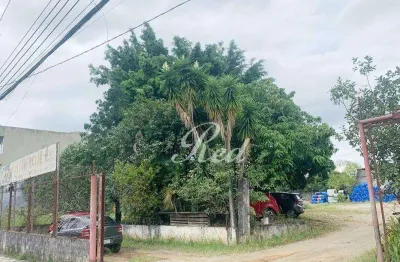 Terreno para alugar, 605 m² por r$ 10.267,18/mês - vila figueira - suzano/sp