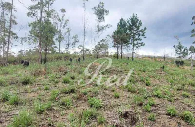 Terreno à venda, 2324 m² por r$ 140.000,00 - clube dos oficiais - suzano/sp