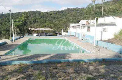Sítio com 8 dormitórios à venda, 205700 m² por r$ 7.000.000,00 - chácara sete cruzes - suzano/sp