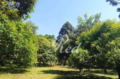 Chácara com 3 dormitórios à venda, 7485 m² por r$ 570.000,00 - estância são luís - suzano/sp