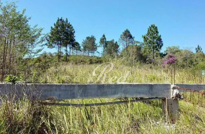 Terreno à venda, 1050 m² por r$ 150.000,00 - recreio rio bonito - suzano/sp