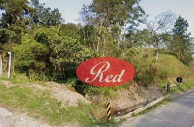 Terreno à venda, 42000 m² por r$ 4.200.000,00 - ipelândia - suzano/sp