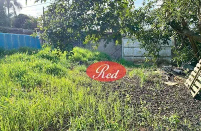 Terreno para alugar, 300 m² por r$ 3.000,00/mês - recreio bela vista - suzano/sp