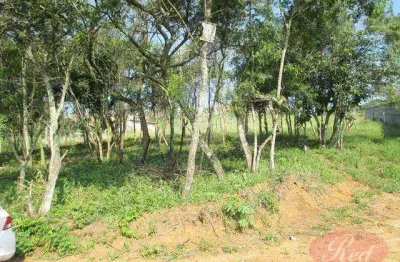 Terreno à venda, 36155 m² por r$ 1.900.000,00 - vila são pedro - suzano/sp