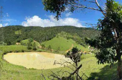 Terreno à venda, 270000 m² por r$ 800.000,00 - centro - angelina/sc