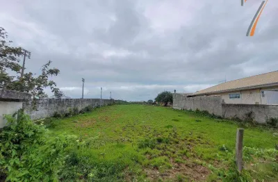 Terreno à venda, 2907 m² por r$ 1.160.000,00 - pacheco - palhoça/sc