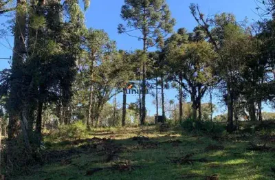 Chácara / sítio à venda no centro, campo alegre  por r$ 820.000