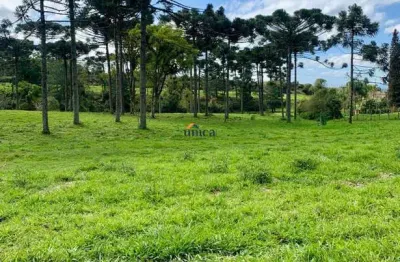 Terreno à venda no Campestre, Campo Alegre 