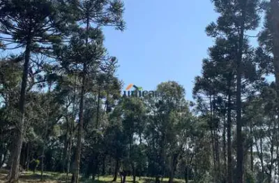 Chácara / sítio à venda no centro, campo alegre  por r$ 2.600.000