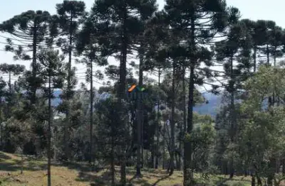 Chácara / sítio à venda no centro, campo alegre  por r$ 1.800.000