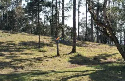 Chácara / sítio à venda no Centro, Campo Alegre  por R$ 1.600.000