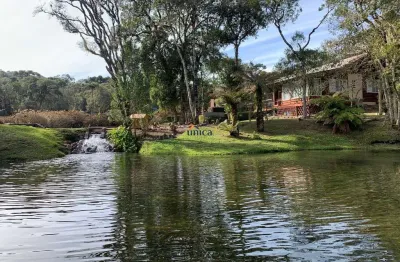 Fazenda à venda no centro, campo alegre , 500000 m2 por r$ 4.250.000