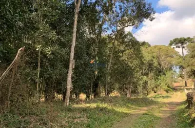 Terreno à venda no dona francisca, são bento do sul  por r$ 580.000