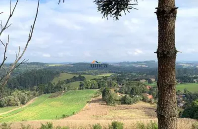 Chácara / sítio à venda no centro, campo alegre , 50870 m2 por r$ 1.100.000